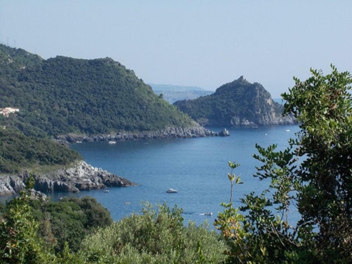 B&B Il Melograno Tortorella ภายนอก รูปภาพ