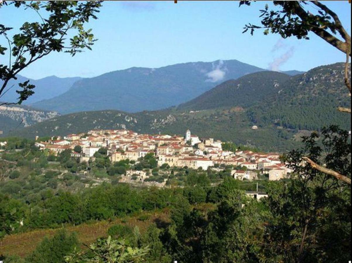 B&B Il Melograno Tortorella ภายนอก รูปภาพ