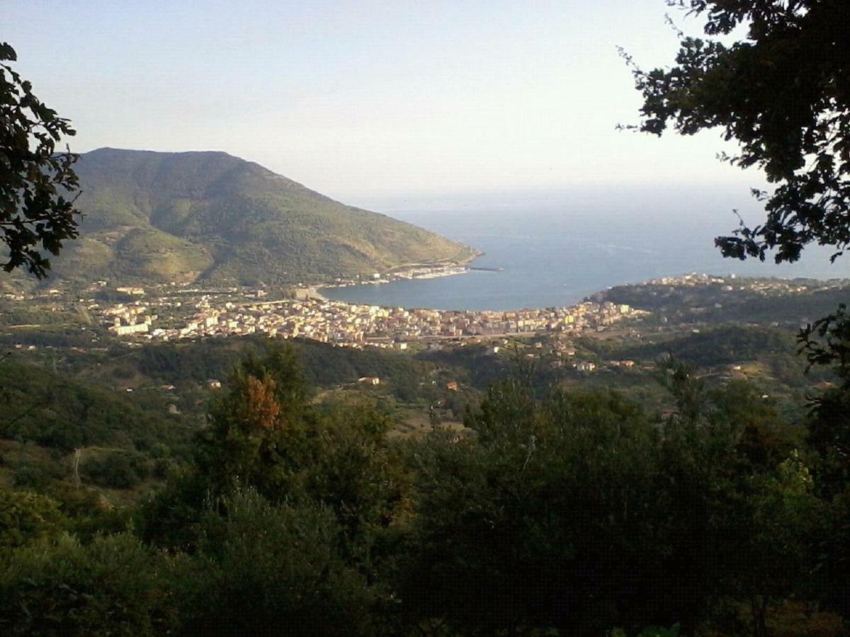 B&B Il Melograno Tortorella ภายนอก รูปภาพ