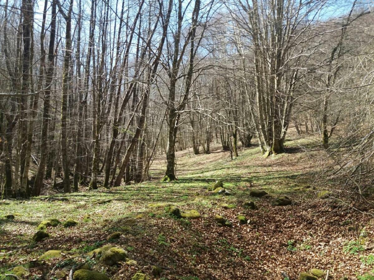 B&B Il Melograno Tortorella ภายนอก รูปภาพ