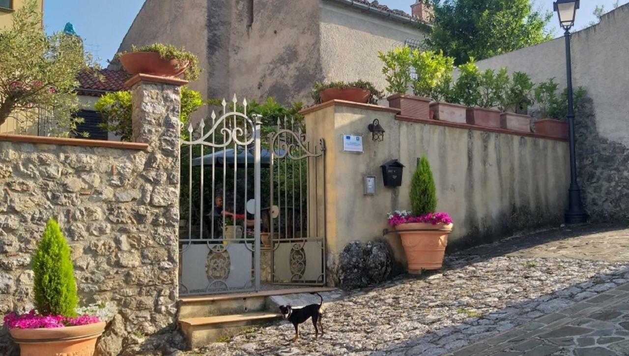 B&B Il Melograno Tortorella ภายนอก รูปภาพ