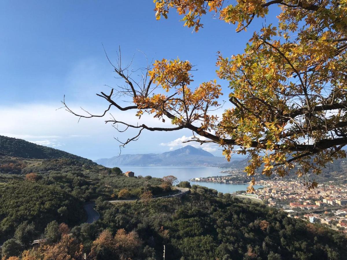 B&B Il Melograno Tortorella ภายนอก รูปภาพ