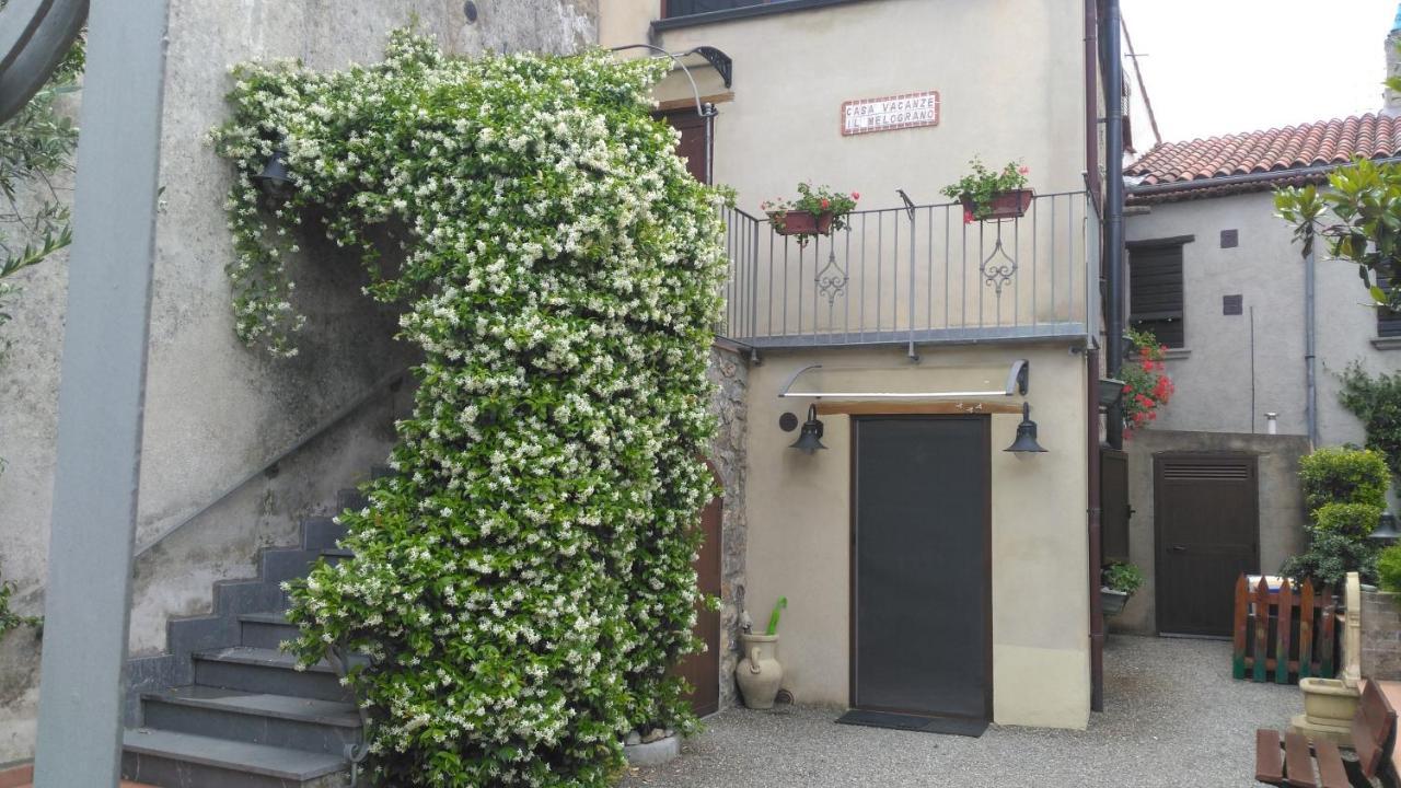 B&B Il Melograno Tortorella ภายนอก รูปภาพ